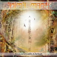 Anima Mundi - Jagannath Orbit