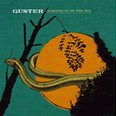 Guster - Ganging Up On the Sun