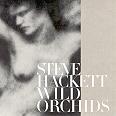 Steve Hackett - Wild Orchids