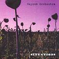 Skyron Orchestra - Situations